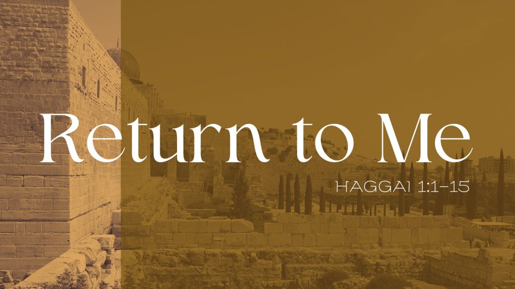 Consider Your Ways – Haggai 1:1-15